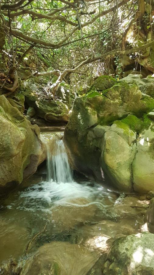 Hostal Rural De Cuadros Bedmar y Garciez Ngoại thất bức ảnh